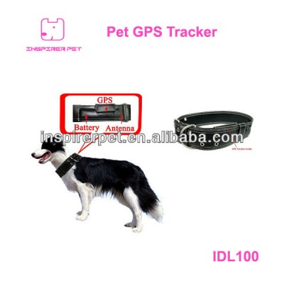 Pet Collar GPS Tracker