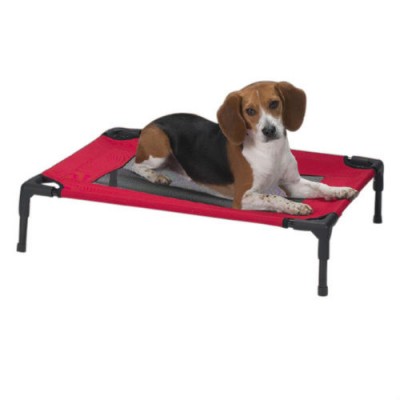 Iron Folding Pet Steel Bed Dog Bed Frame